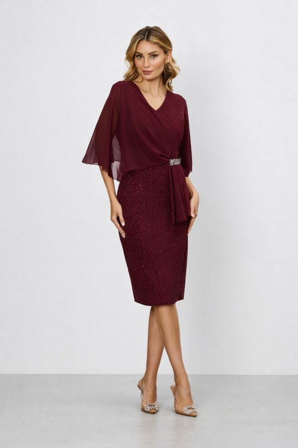 Vanity Burgundy Dress