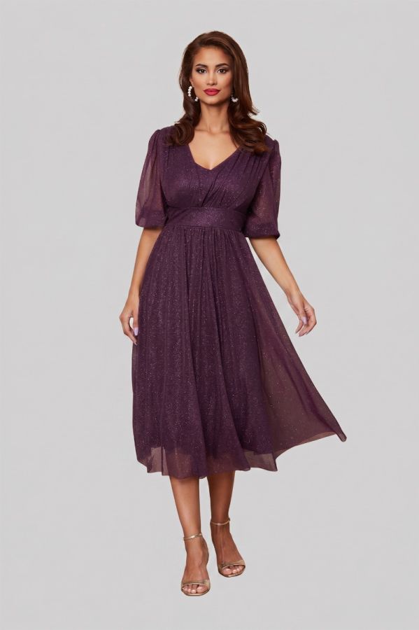 Nicolette Violet Dress
