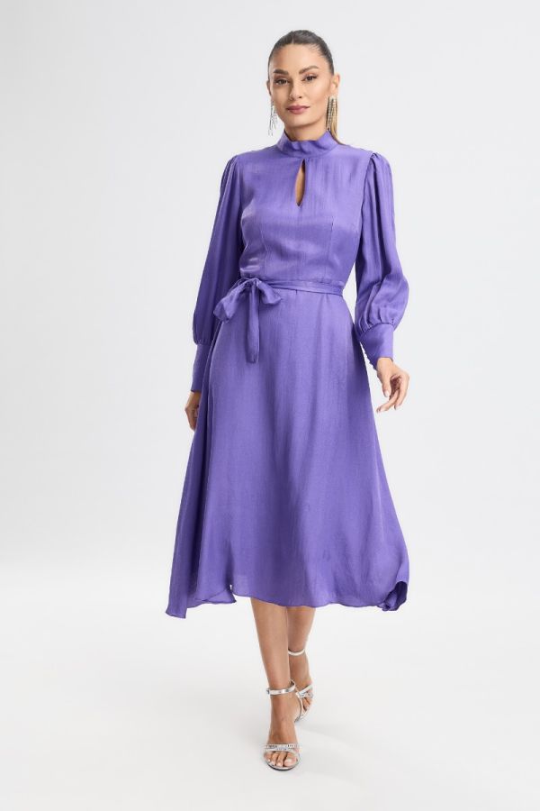 Elina Purple Elegant Dress